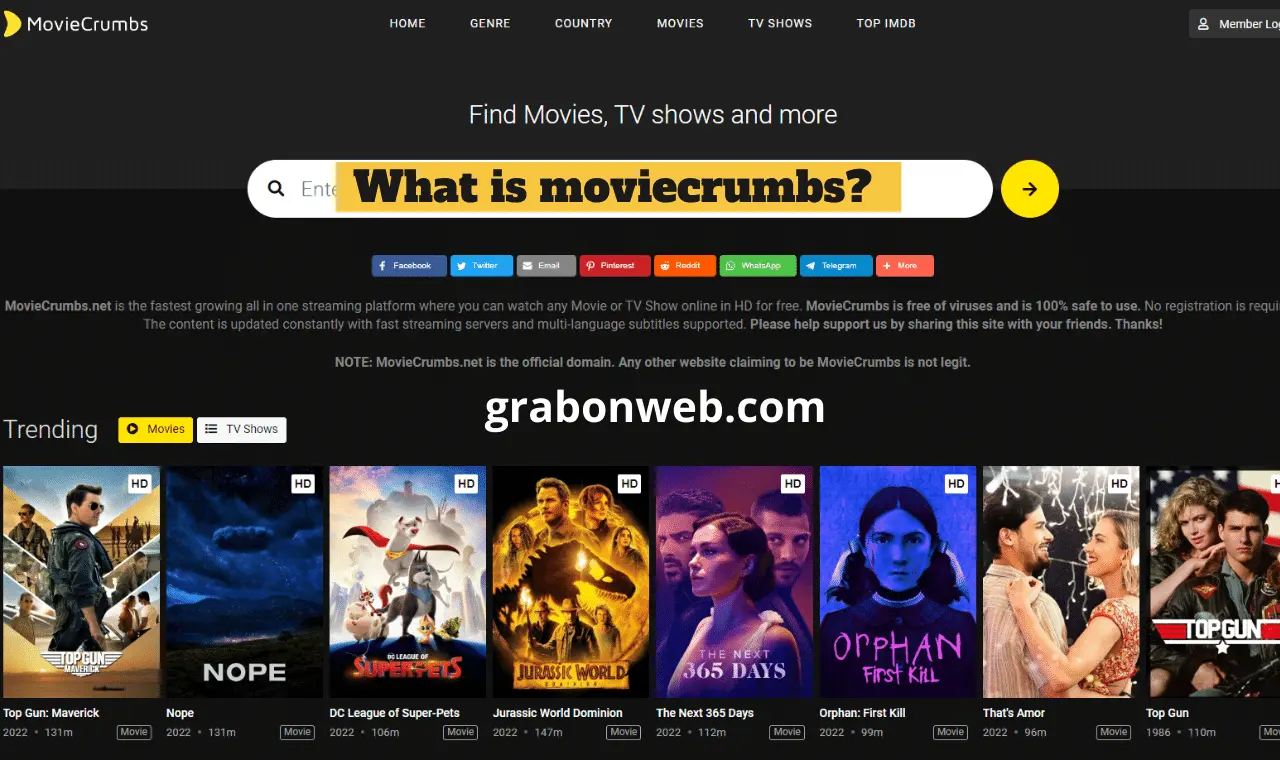 What is moviecrumbs